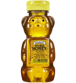 Honey Bear "Gunter" 12 oz x 12